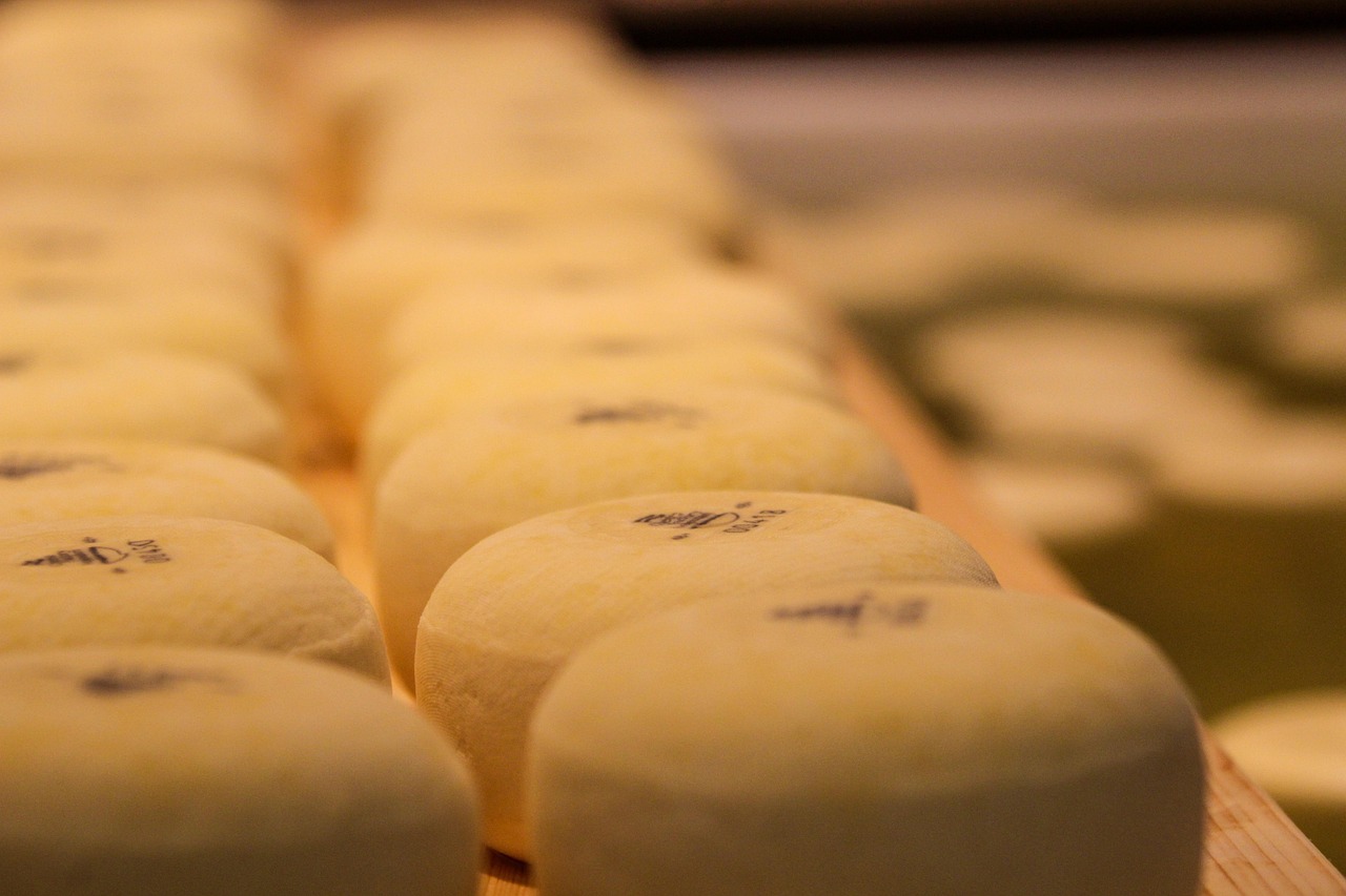 Landbouw blijft een exportkanon dat blijft groeien