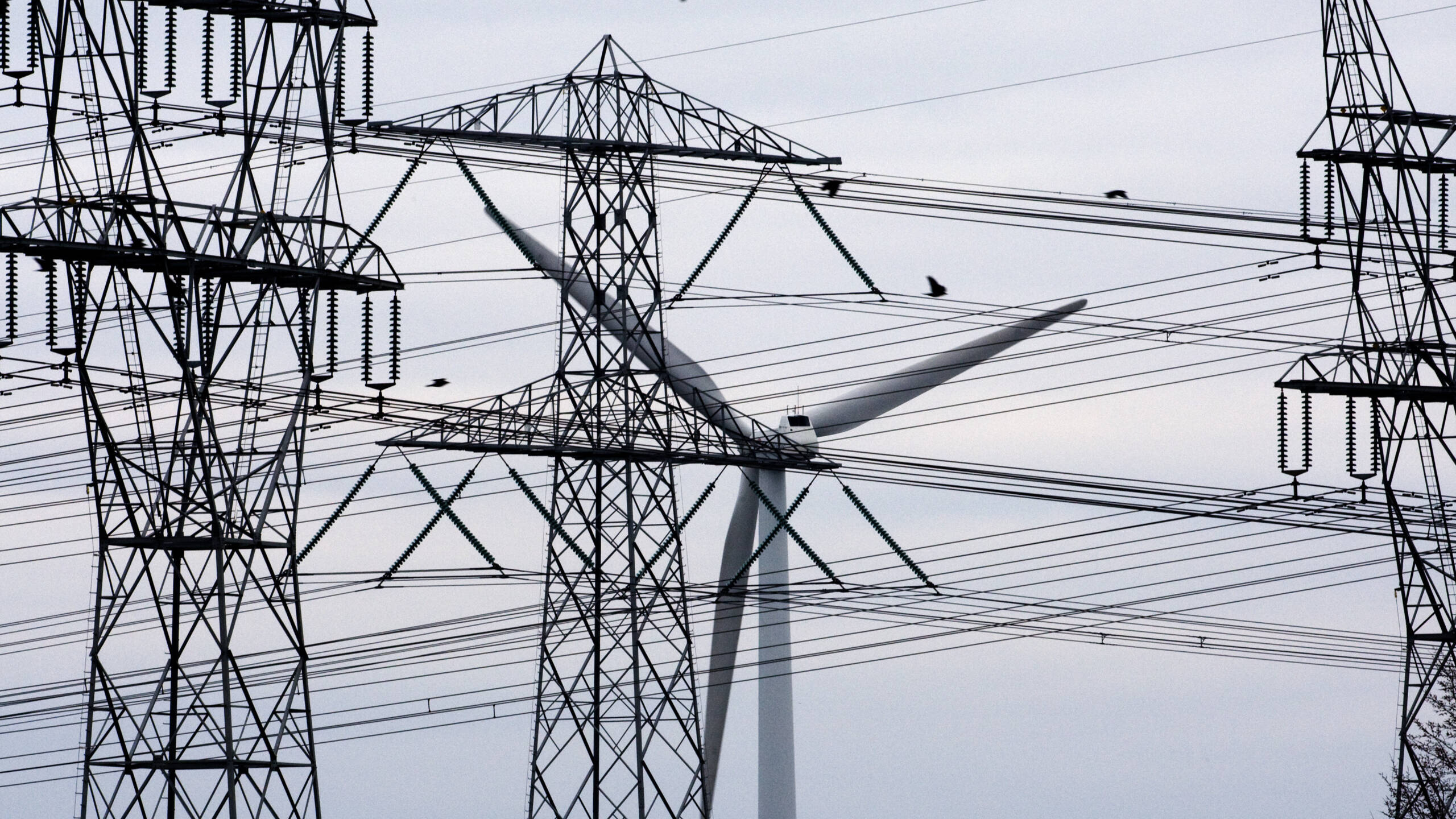 ACM: netbeheerders moeten slimmer netgebruik stimuleren