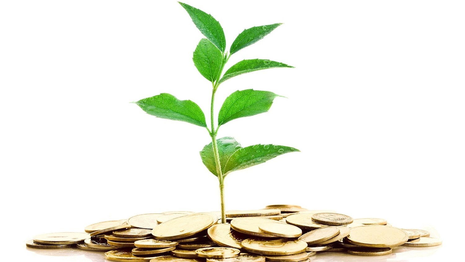 Techbedrijven Nederland schuiven investeringen voor zich uit